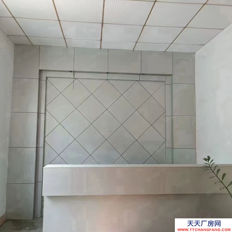 (出租) 東莞獨(dú)院廠房出租，長(zhǎng)安鎮(zhèn)宵邊全新小獨(dú)院3層4000平帶地坪漆廠房