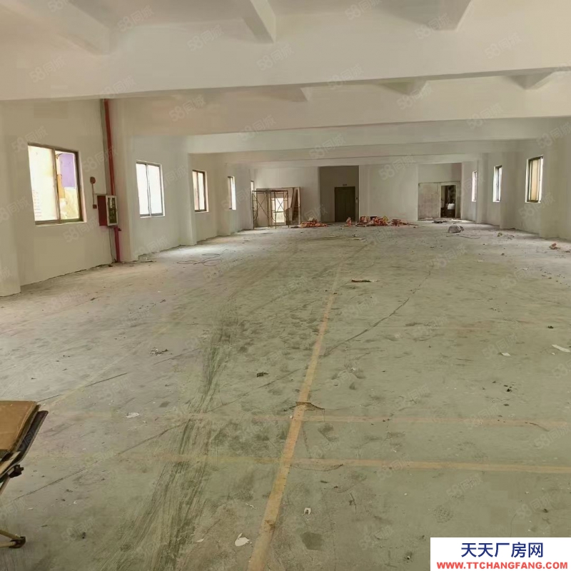 (出租) 東莞獨(dú)院廠房出租，長(zhǎng)安鎮(zhèn)宵邊全新小獨(dú)院3層4000平帶地坪漆廠房