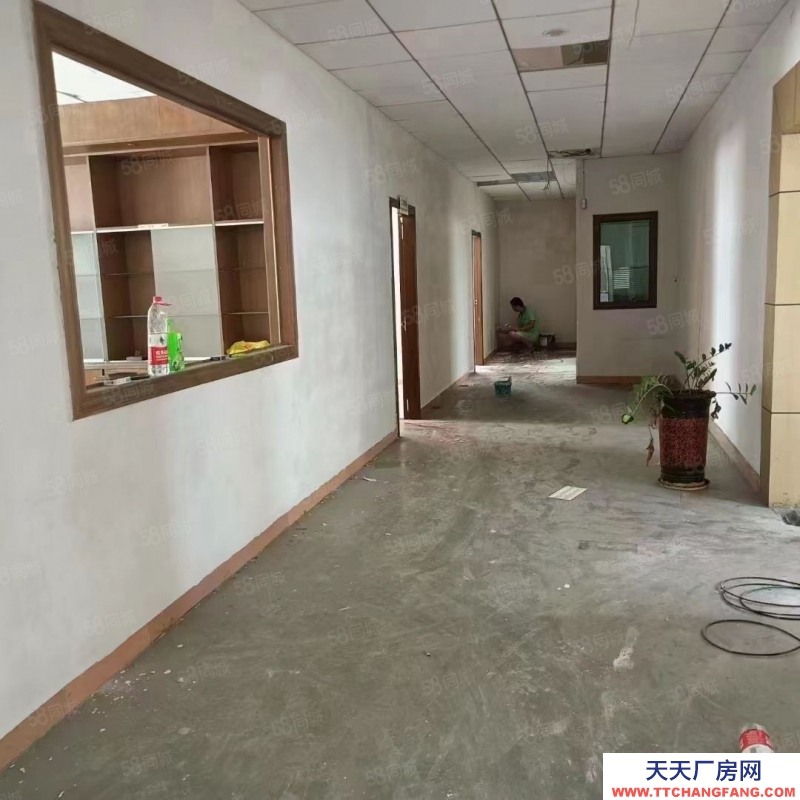 (出租) 東莞獨(dú)院廠房出租，長(zhǎng)安鎮(zhèn)宵邊全新小獨(dú)院3層4000平帶地坪漆廠房