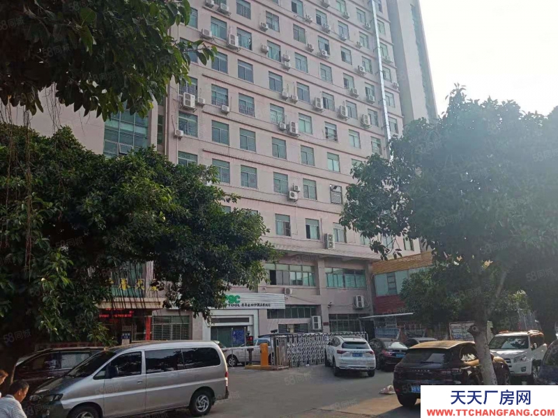 (出租) 東莞長安上沙新出樓上全新地坪漆豪華精裝修900平方廠房出租