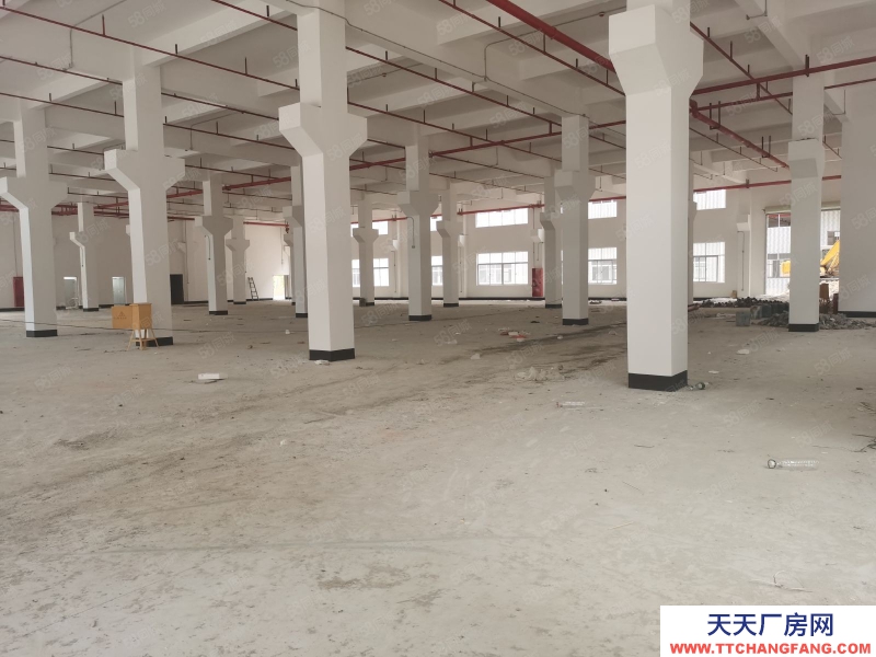 (出租) 東莞超低價原房東紅本10元200平起石排無公攤廠房倉庫一樓出租