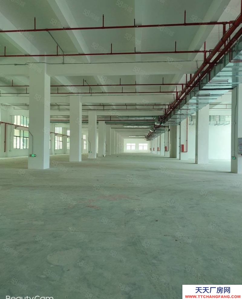 (出租) 東莞重工業(yè)廠房火爆招租 自帶家具環(huán)評 可分租 證件齊全