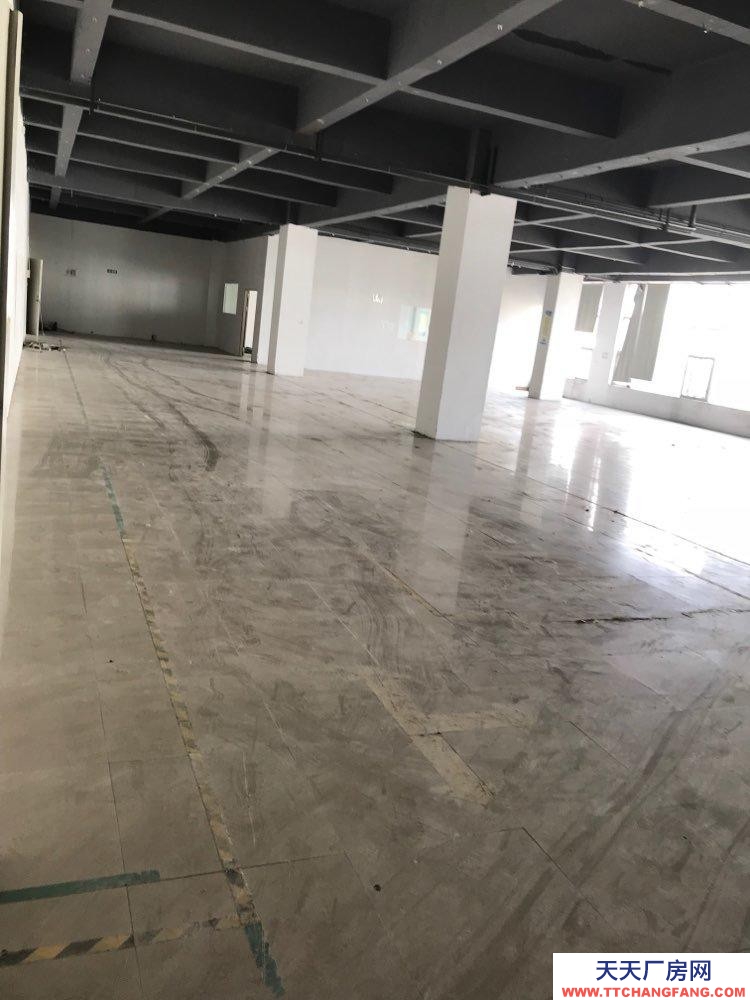 (出租) 東莞原房東帶精裝修辦公室和倉庫107國道邊廠房1200平方