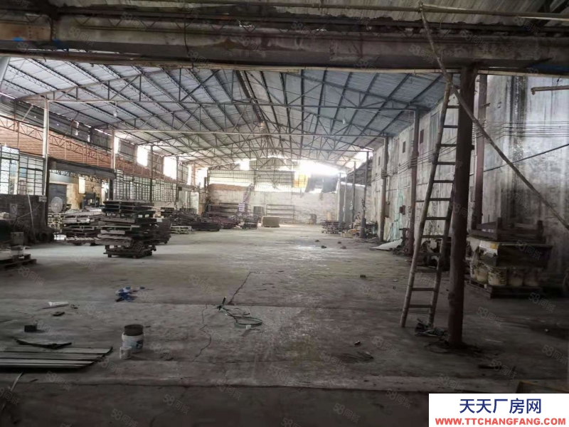 (出租) 東莞麻涌獨門獨院廠房倉庫低價出租交通便利