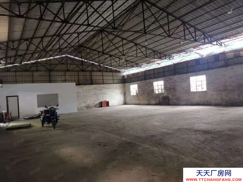 (出租) 東莞麻涌獨門獨院廠房倉庫低價出租交通便利