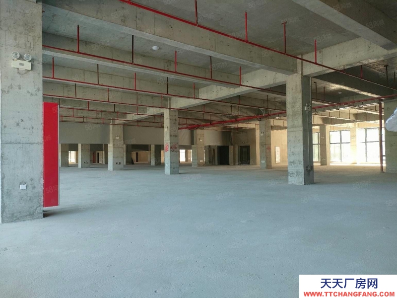 (出售) 東莞全新標(biāo)準(zhǔn)廠房出售1000平起 首付3成起 整層2000平