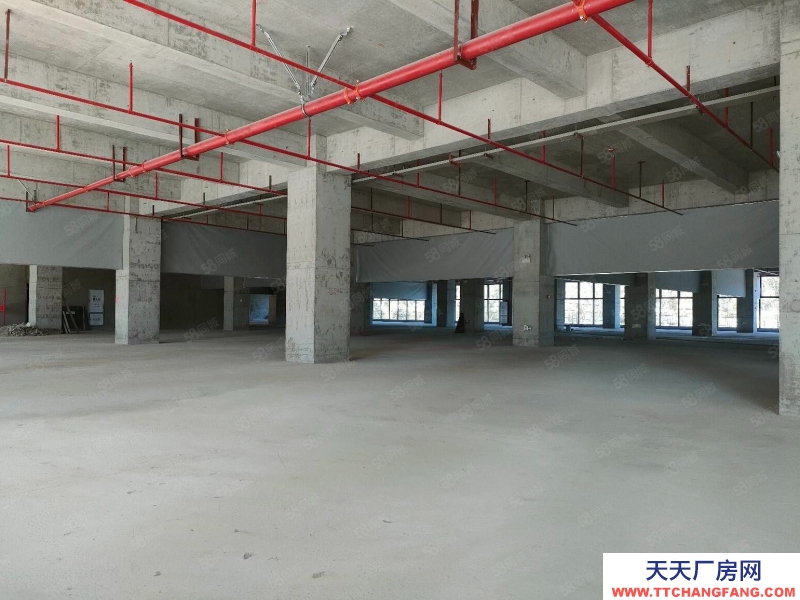 (出售) 東莞全新標(biāo)準(zhǔn)廠房出售1000平起 首付3成起 整層2000平