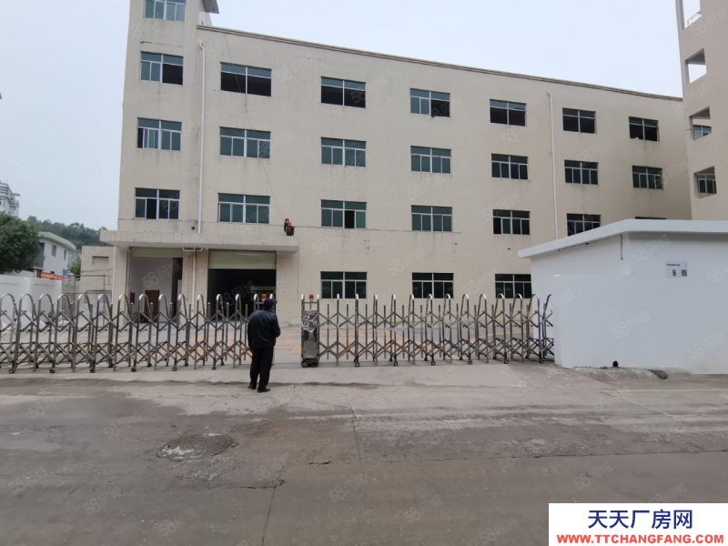 (出售) 東莞長安宵邊新出6000平廠房出售帶工業紅本股權過戶