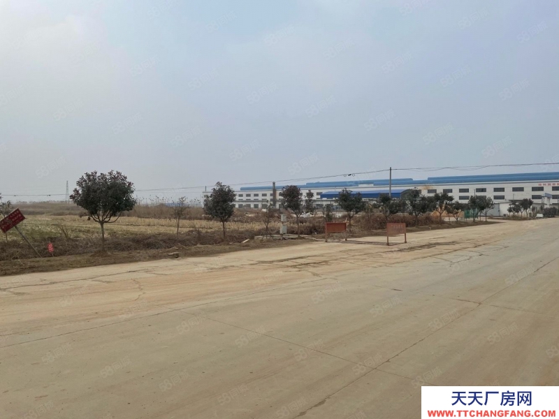 (出售) 蚌埠淮上沫河口工業園 285畝土地 50000平方廠房 主路邊上