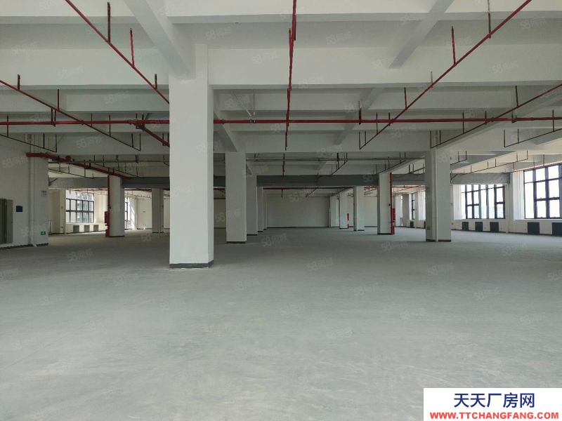 (出售) 東莞中堂50年產(chǎn)權(quán)一樓1300平廠房出售樓上標(biāo)準(zhǔn)層2000平