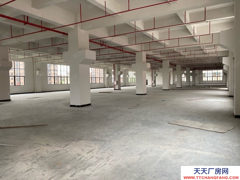 (出售) 東莞鳳崗M1工改工廠房出售，50年獨立紅本，首付三成，貸款十年。