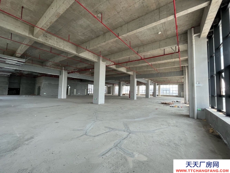 (出售) 東莞臨大嶺山首付3成50年紅本廠房出售3780平