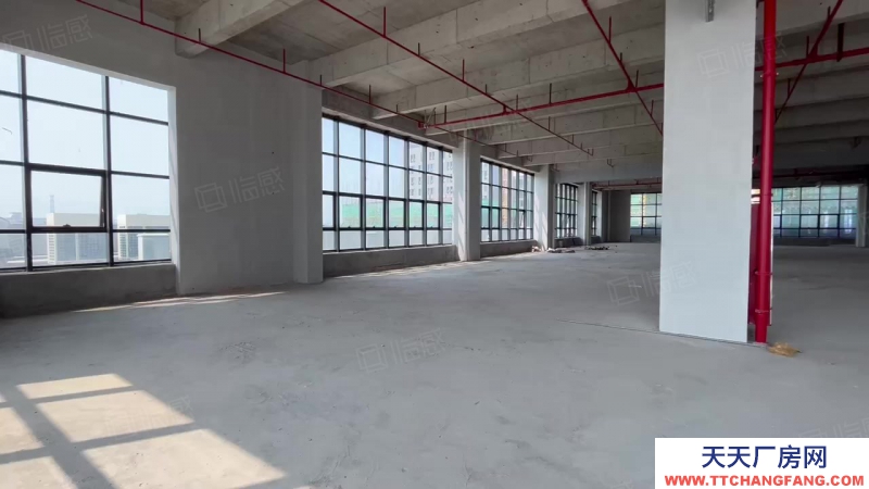 (出售) 東莞臨大嶺山首付3成50年紅本廠房出售3780平