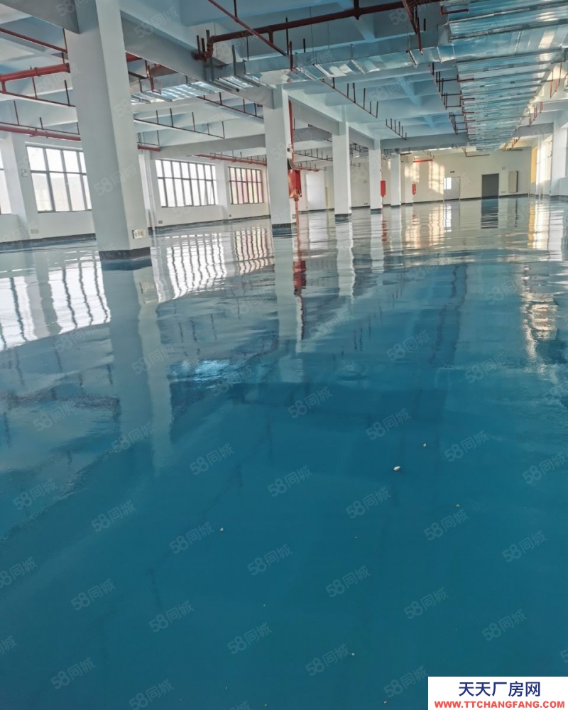 (出售) 東莞市石排鎮智能產業集聚區全新標準廠房38萬方火熱開售