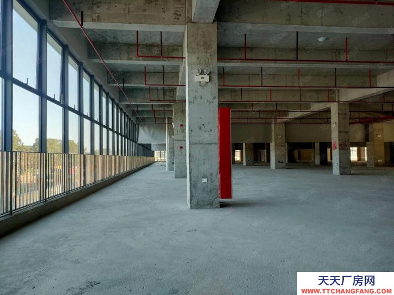 (出售) 東莞常平紅本廠房出售1200平 單層2400平 首付3成