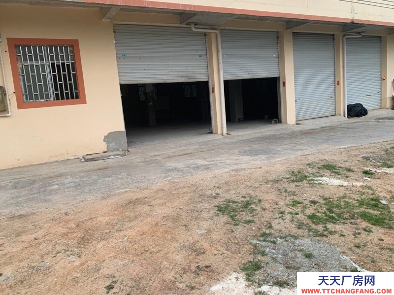 南寧市西鄉塘區(出租) 自建樓房一樓300平方廠房倉庫出租