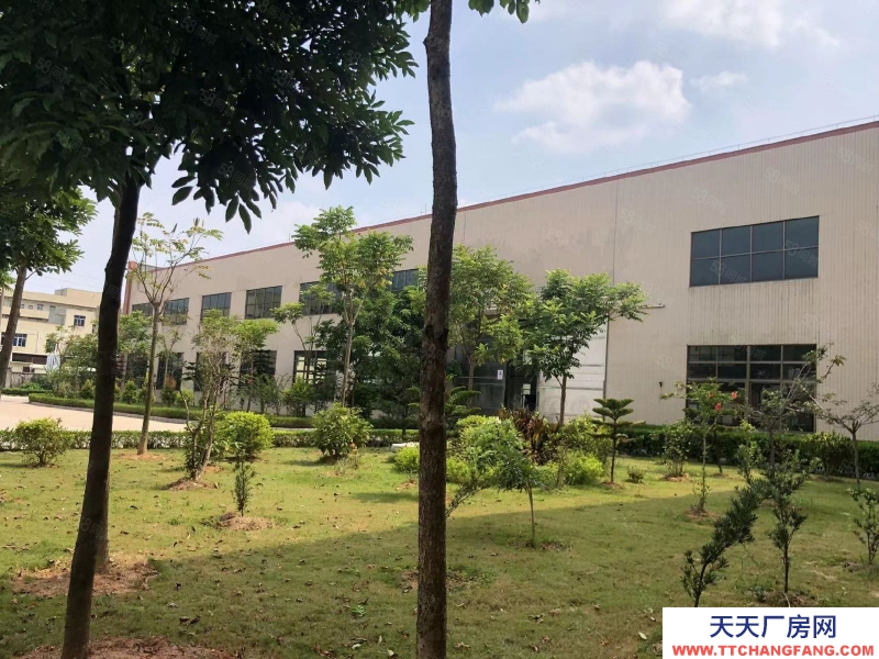 (出售) 東莞紅本廠房60000平方出售