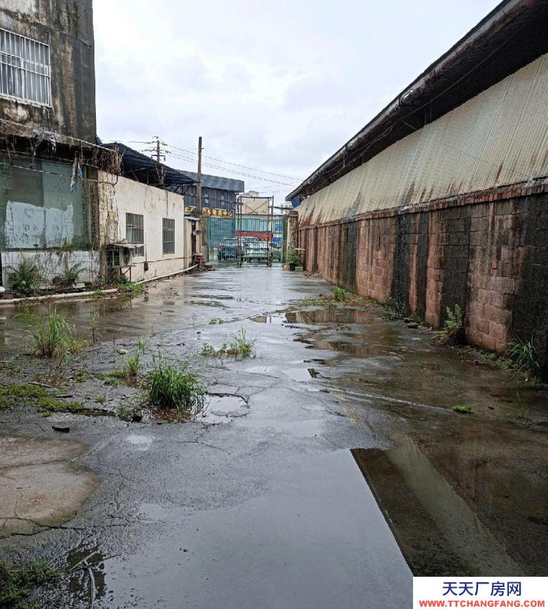 南寧市西鄉塘區(出租) 安吉廠房出租地鐵口18元/平可辦證營業或當倉庫3935228