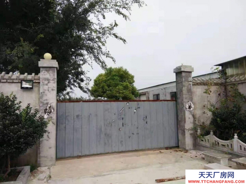 棗莊棗莊市臺兒莊區(qū)運河大道