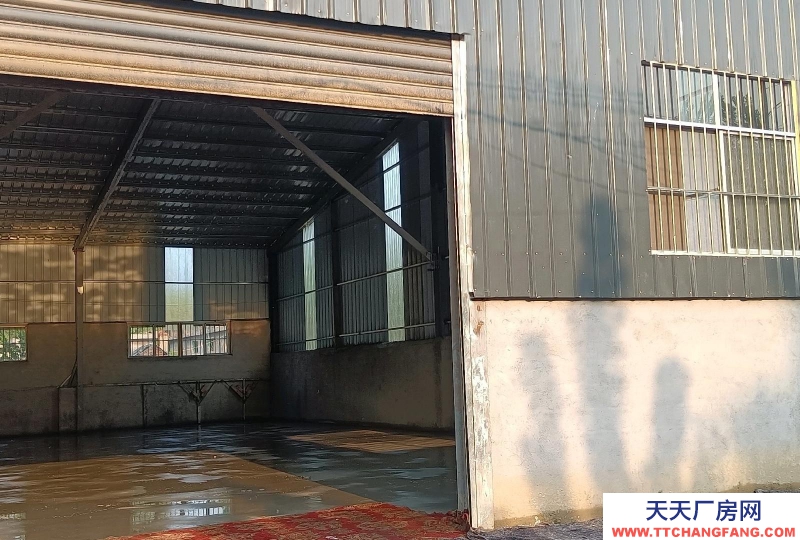 棗莊臺兒莊交通便利新廠房，地理位置優越