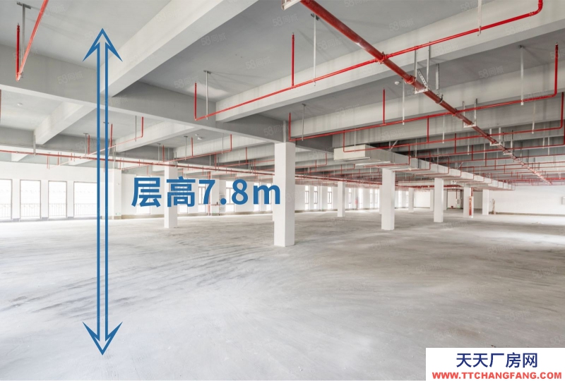 (出售) 東莞臨港經(jīng)濟帶，世界13強開發(fā)，廠房單價4500元起，低稅收