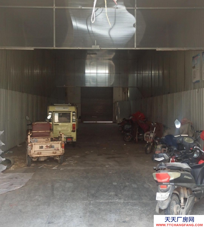 棗莊山亭24米跨度6米大開間大空間利用率超高整租分租都可