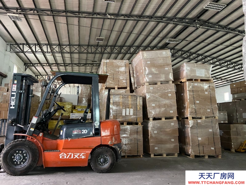 (出租) 東莞?jìng)}庫100至300平方標(biāo)準(zhǔn)物流倉庫及托管服務(wù)發(fā)快遞 貼標(biāo)簽