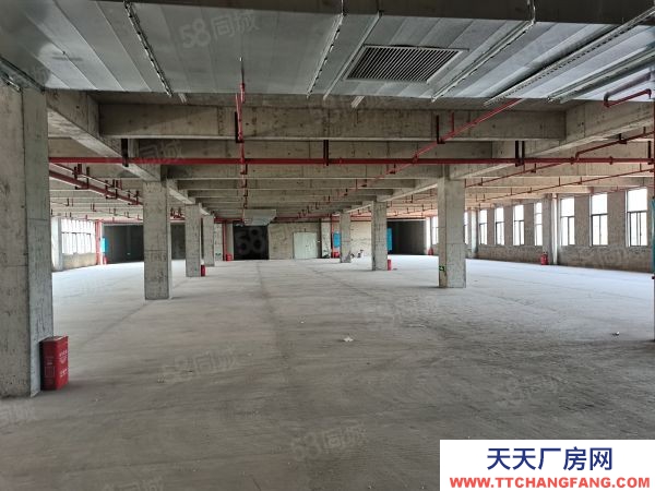 株洲市荷塘區大型工業園出租，免租一年不要錢