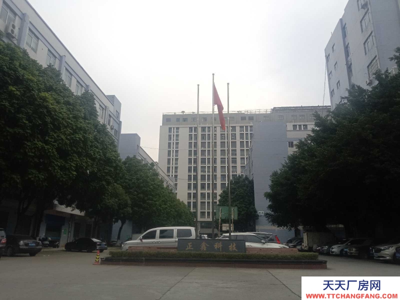 (出租) 南寧市西鄉塘區高新區國企正鑫科技園、和泰工業園、強源工業園、瑞熙工業園