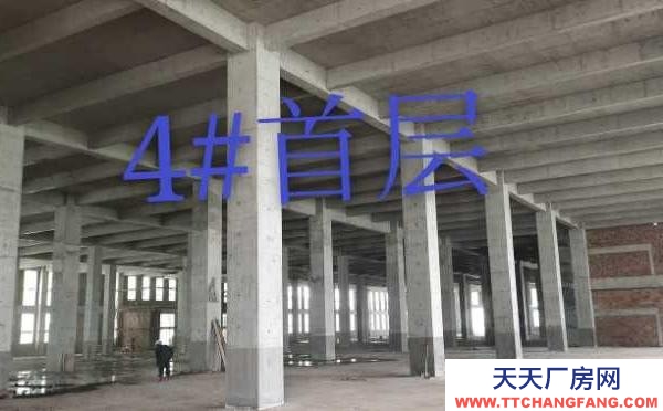 株洲市荷塘區(qū)1000-7000平方廠房