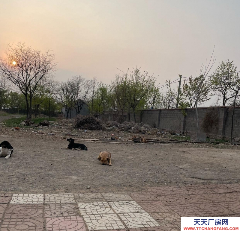 棗莊急售山亭區鳧城鎮20畝大院廠房