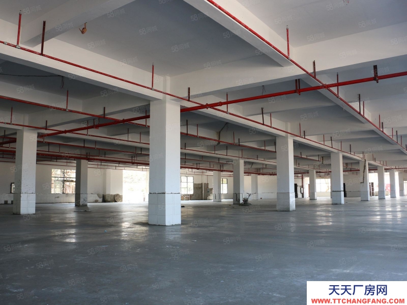 (出租) 東莞麻涌大型物流倉紅本證件齊全公寓宿舍大型中央廚房冷庫廠房低價租