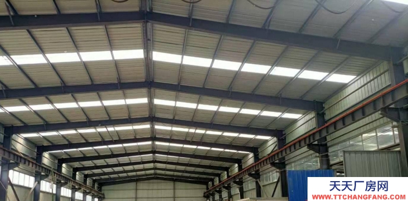 (出租) 蚌埠懷遠(yuǎn)龍亢全新鋼結(jié)構(gòu)標(biāo)準(zhǔn)廠房