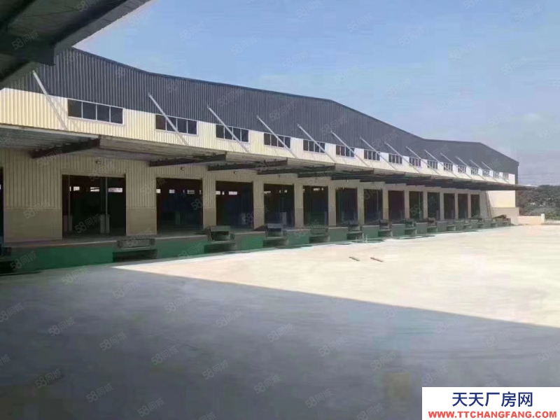 (出租) 東莞萬(wàn)江區(qū)獨(dú)院?jiǎn)我粚游锪鱾}(cāng)庫(kù),有消防證,二次噴淋消防