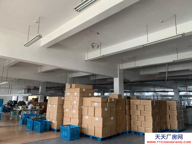 寧波海曙(出租) 古林一樓廠房1150平出租27元6米高80KV