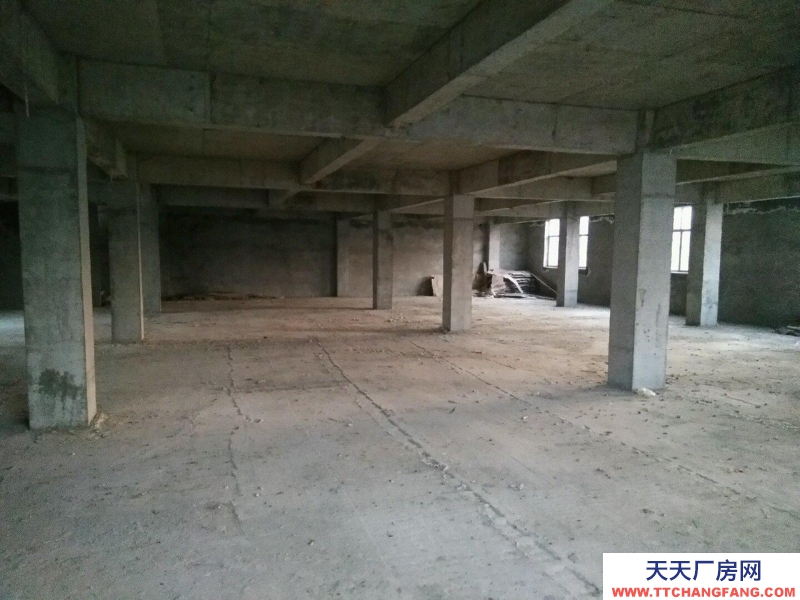 (出租) 蚌埠懷遠(yuǎn)大面積框架樓房 900平方