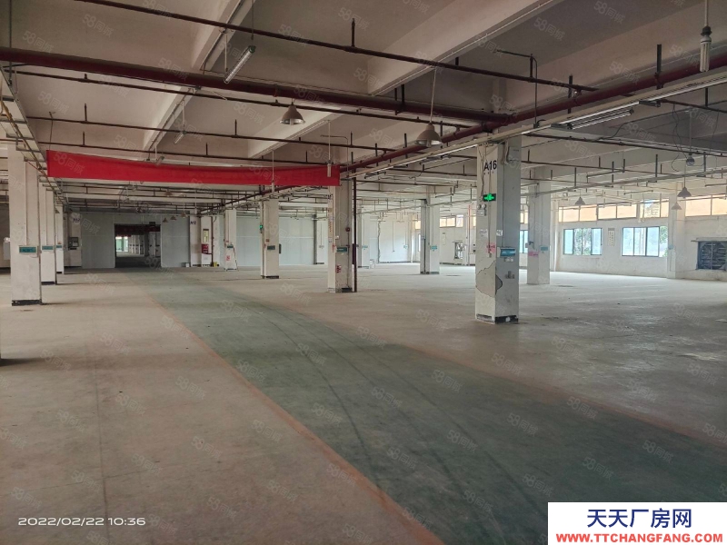 (出租) 東莞?jìng)}庫(kù)丙二類消防，帶卸貨平臺(tái)，5噸電梯大小分組靠高速口