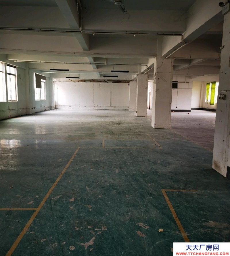 (出租) 南寧市西鄉(xiāng)塘區(qū)標(biāo)準(zhǔn)廠房，第三層，可做倉(cāng)儲(chǔ)，層高4.3米，受力2噸，有貨梯，