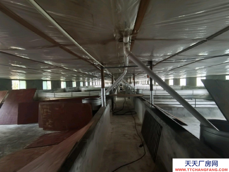 (出租) 南寧市西鄉塘西鄉塘周邊