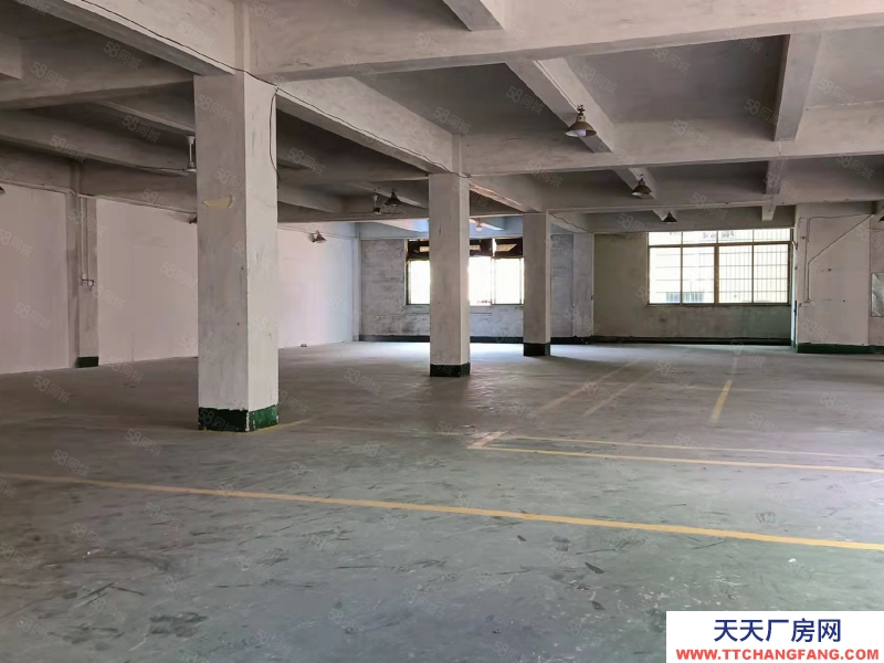 (出租) 廣州番禺近地鐵大石一手房東招租獨棟二樓700方帶3噸貨梯，24元一方