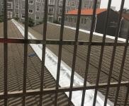 (出租) 荊州沙市岑河廠房500㎡