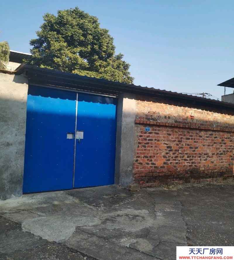 (出租) 南寧市西鄉塘區美麗南方附近，，交通方便，水電齊全