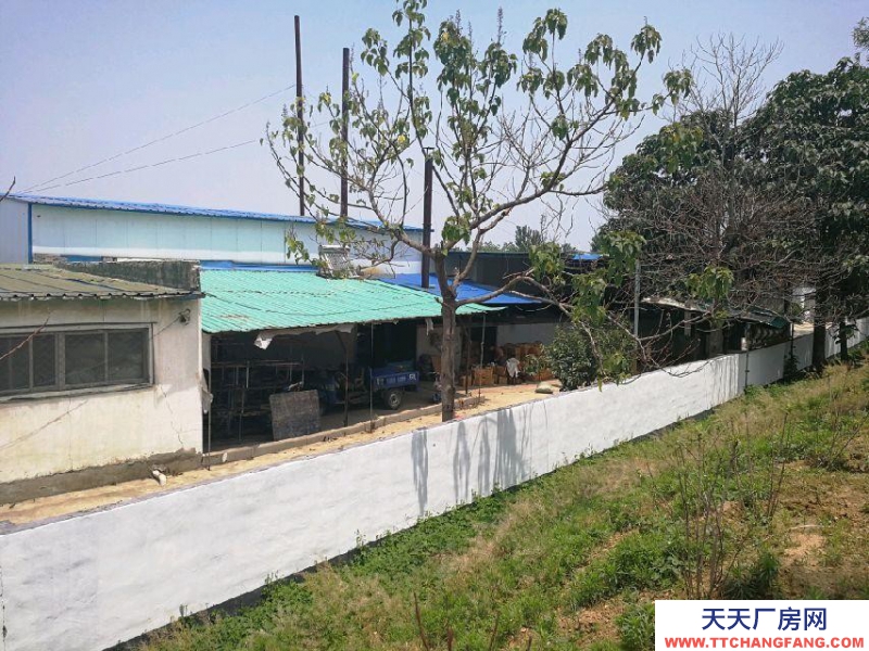 棗莊滕州上善公園 廠房 占地20畝，車間2000平。