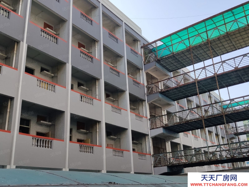 (出租) 業主急租！廣州荔灣區芳村旁1500方廠房可自由分割，紅本廠房