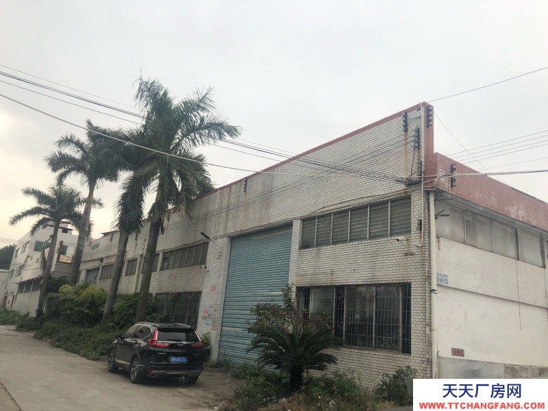 (出租) 廣州花都新華工業區1800方花園式磚墻到頂隔熱廠房注塑吹瓶汽配