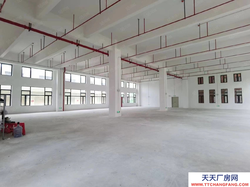 (出租) 廣州南沙新建51800方園區，可辦環評，資質齊全，丙二類消南沙防