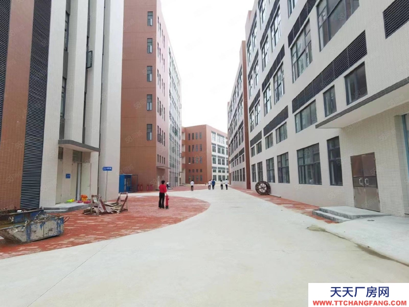 (出租) 廣州南沙新建51800方園區，可辦環評，資質齊全，丙二類消南沙防