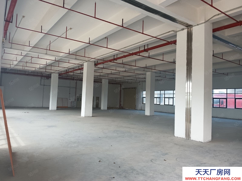 (出租) 廣州 南沙灣標準廠房8000方可分租，價格優惠