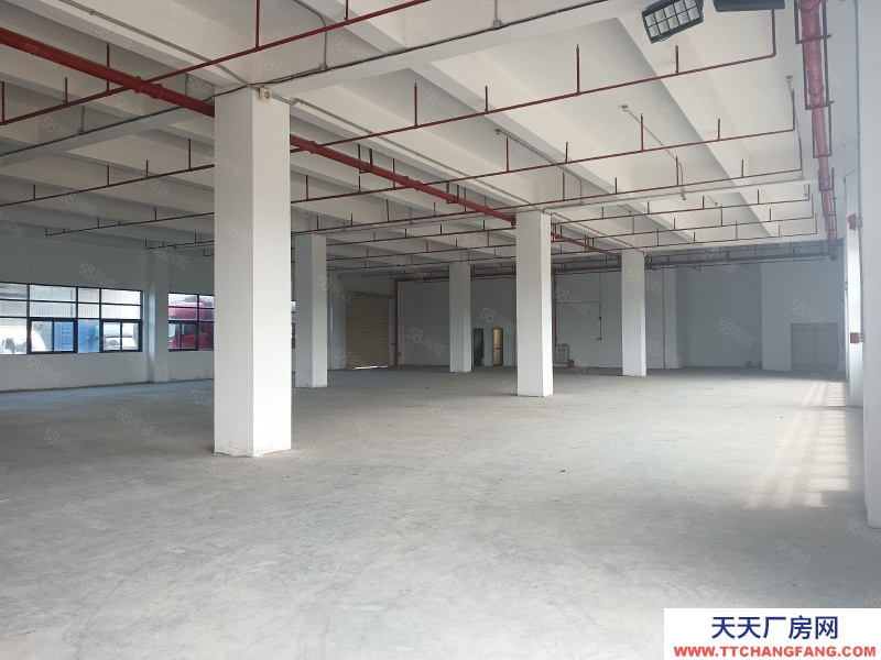 (出租) 廣州 南沙灣標準廠房8000方可分租，價格優惠