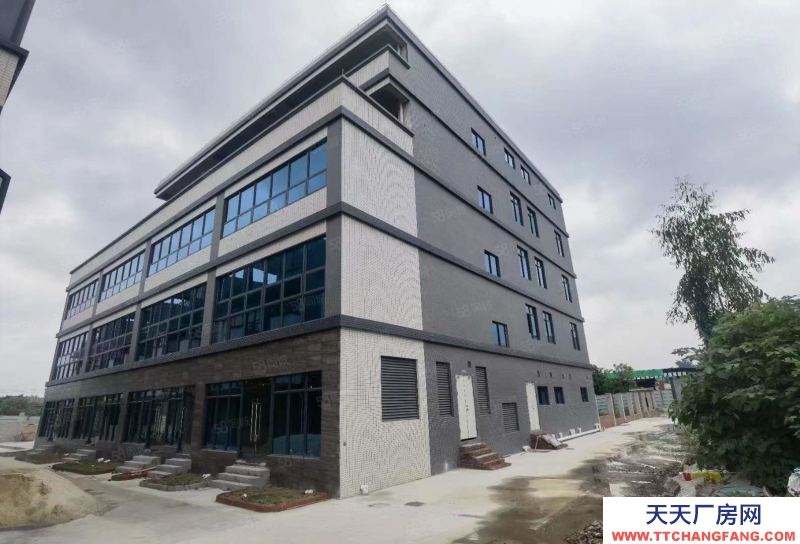 (出租) 廣州白云江高南崗村物業低價推出9千方樓層倉可做直播電商教育大小可分租